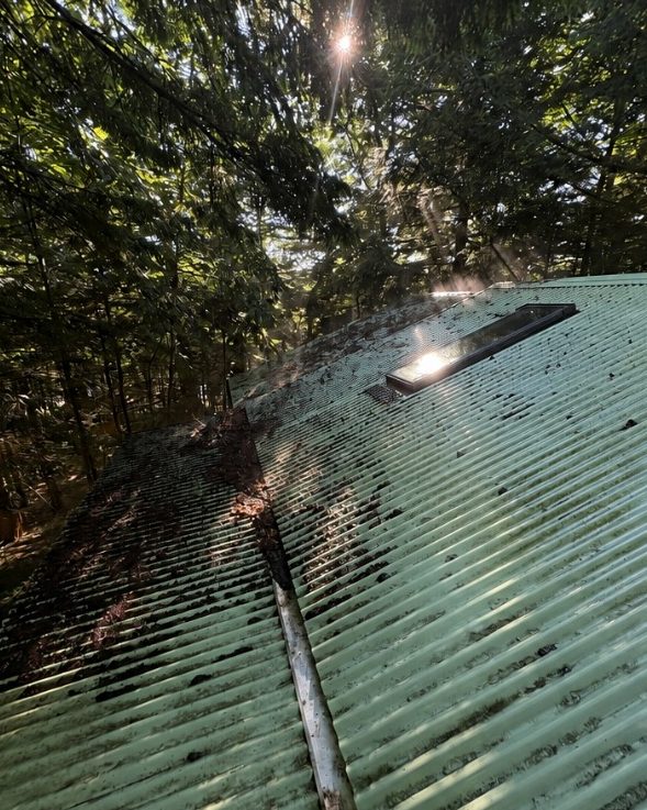 A pale green metal roof darkened with dirt and growth