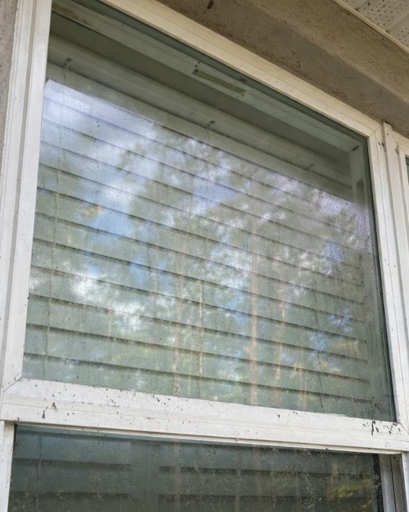 A white-framed window with streaks and a dirty sill