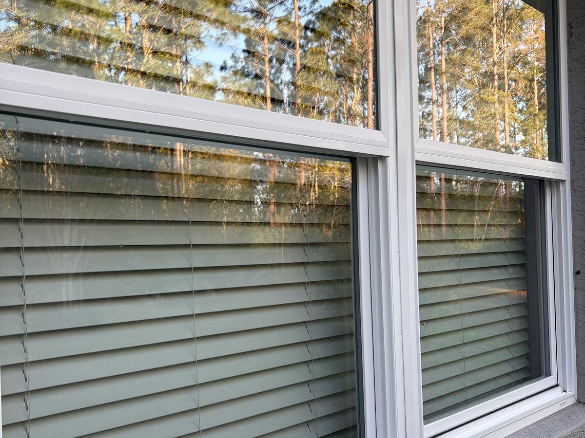 Clean exterior windows on a grey-sided house, reflecting trees
